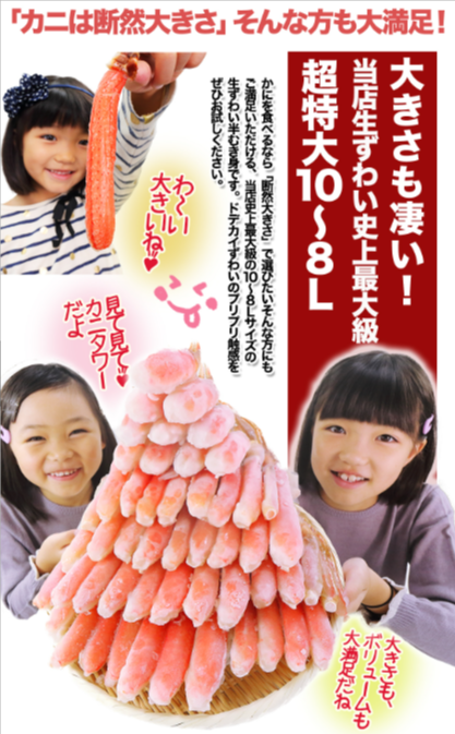 403：超特大１０Ｌ～８Ｌ生ずわい蟹半むき身満足セット-3kg超（総重量約３-６kg）-厳選特産品専門店-匠本舗-07-28-2026_02_31_PM