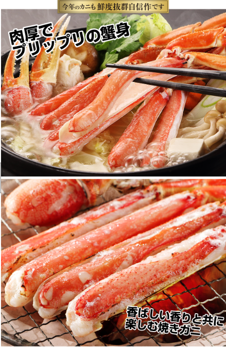 403：超特大１０Ｌ～８Ｌ生ずわい蟹半むき身満足セット-3kg超（総重量約３-６kg）-厳選特産品専門店-匠本舗-07-28-2026_02_32_PM